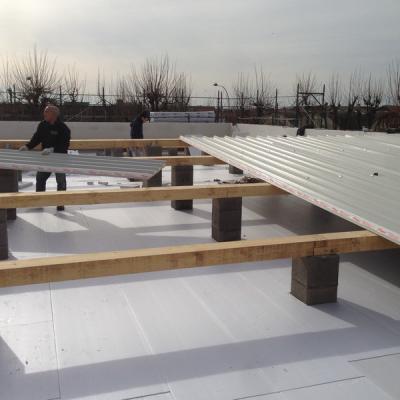 Copertura Rifacimento Tetti Impresa Edile Ediland 19